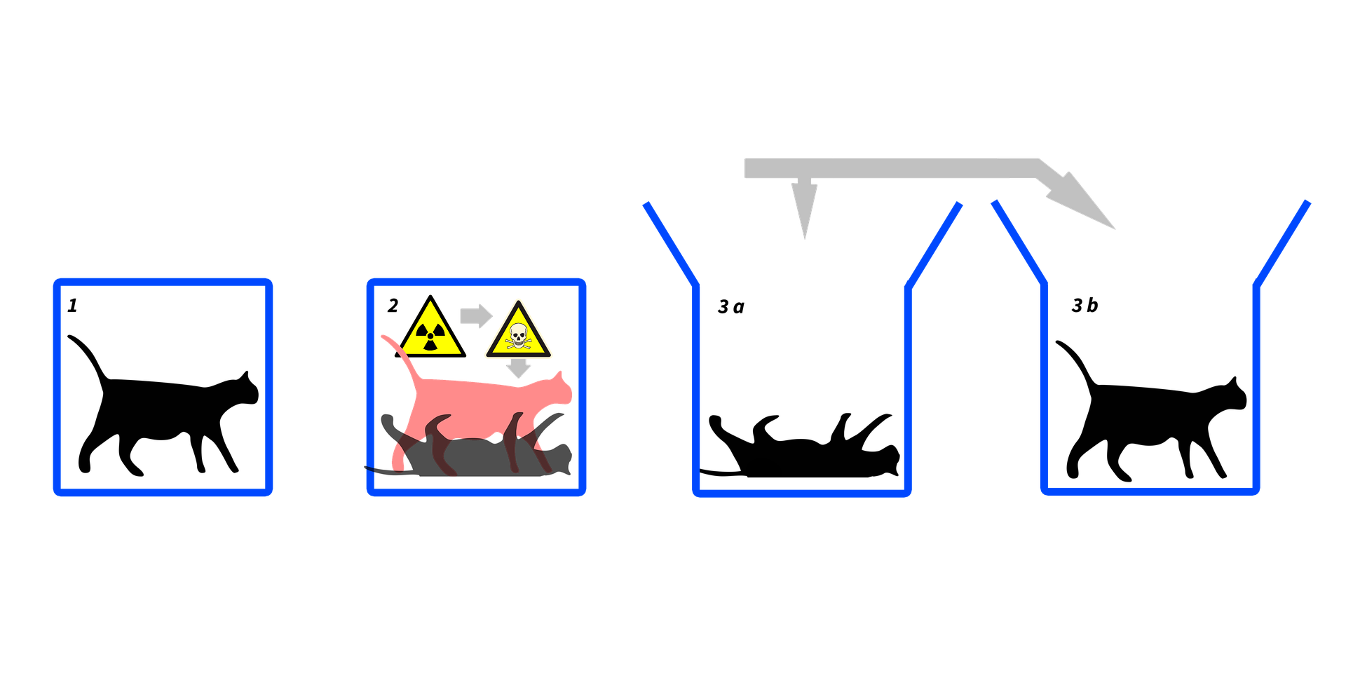 Кот Шредингера эксперимент. Кот Шредингера квантовая физика. Кот Шредингера суперпозиция. Кот Шрёдингера мысленный эксперимент.