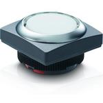 RAFI 1302709512204 image