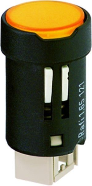 RAFI 1651219360000 image