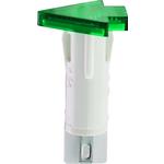 RAFI 1695071571402 image