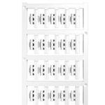1813190000 WEIDMULLER SlimFix Cable Marker Clip | myMectronic