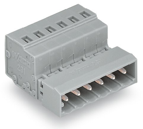 231-624 WAGO 24 Pole Connector Block | myMectronic