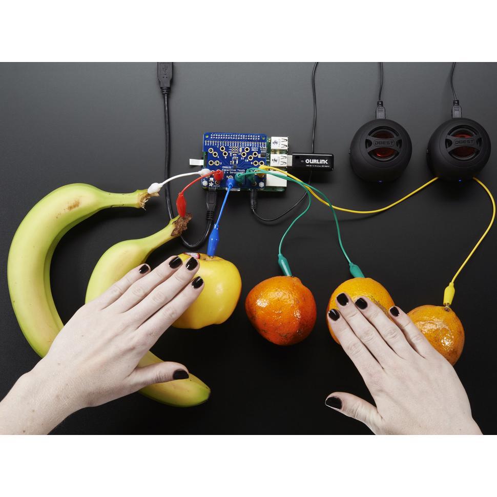 Buy Adafruit Capacitive Touch HAT Part Number 2340 Online
