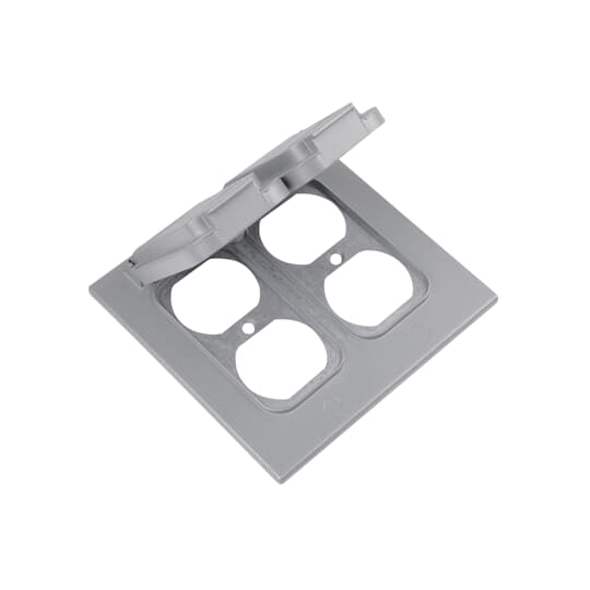 2CCD THOMAS & BETTS 2-Gang Weatherproof Device Box | myMectronic