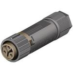 46.031.4550.4 WIELAND ELECTRIC Miniature Installation Connector | myMectronic
