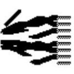 BELDEN 5342UEGRY1000 image