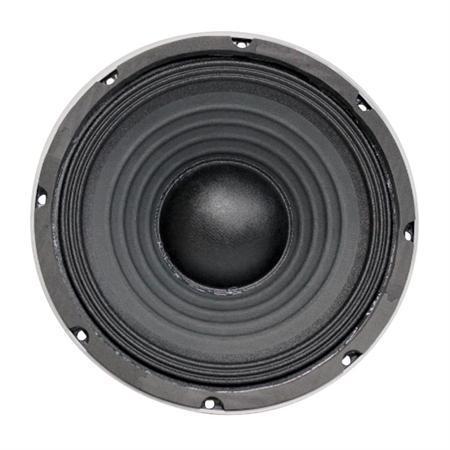 AVey Series Woofer: 10-Inch Professional Audio Speaker 552981