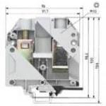 WIELAND ELECTRIC 5759701550 image