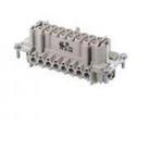 WIELAND ELECTRIC 7030116400 image