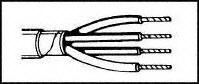 Buy Belden Multi-Conductor Audio Control Instrumentation Cable Part Number 884890021000 Online