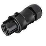 96.031.0053.1 WIELAND ELECTRIC 3 Pole Mains Connector | myMectronic