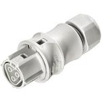 WIELAND ELECTRIC 9603140530 image