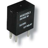 CIT Series Power Relay: A61AC24VDC13R