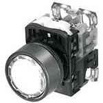 AR22F0L-10E3G FUJI ELECTRIC Illuminated Pushbutton Switch | myMectronic