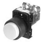 AR22F0M-10E3G FUJI ELECTRIC Illuminated Pushbutton Switch | myMectronic