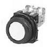 AR22F0R-10Y FUJI ELECTRIC Illuminated Pushbutton Switch | myMectronic