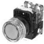 AR22G4L-01E3R FUJI ELECTRIC Illuminated Pushbutton Switch | myMectronic