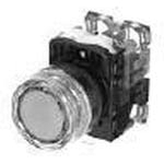 AR22G9L-01E3R FUJI ELECTRIC Illuminated Pushbutton Switch | myMectronic