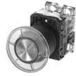 AR22M0L-10E3G FUJI ELECTRIC Illuminated Pushbutton Switch | myMectronic