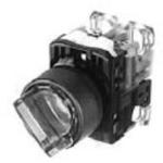 AR22PL-210E3G FUJI ELECTRIC Illuminated Pushbutton Switch | myMectronic