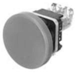 AR30B0R-11G FUJI ELECTRIC Command Switch Pushbutton | myMectronic