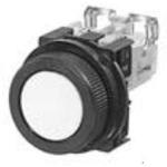 AR30F0R-20Y FUJI ELECTRIC Command Switch Pushbutton | myMectronic