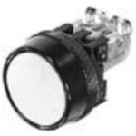 FUJI ELECTRIC AR30M3R10G image