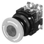 AR30V0L-02E3R FUJI ELECTRIC Command Switch Pushbutton | myMectronic
