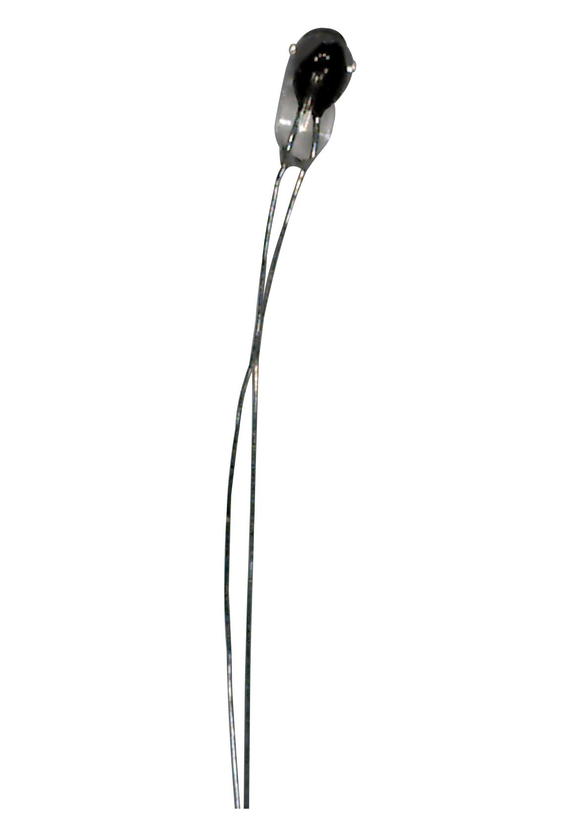 BR14KA303L AMPHENOL ADVANCED SENSORS Glass Encapsulated Bead Thermistor | myMectronic