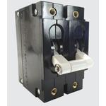 Carling Technologies C21X0135683A1I image