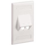 CFPSL2IW*Y PANDUIT Vertical Sloped Faceplate | myMectronic