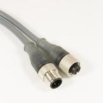 DR08AW103 Alpha Wire M12 Cordset | myMectronic