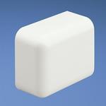 ECF10IG-X PANDUIT LD Surface Raceway System | myMectronic