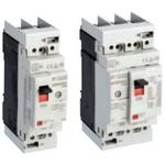 EW50RBGU-2P020B FUJI ELECTRIC Molded Case Circuit Breaker | myMectronic