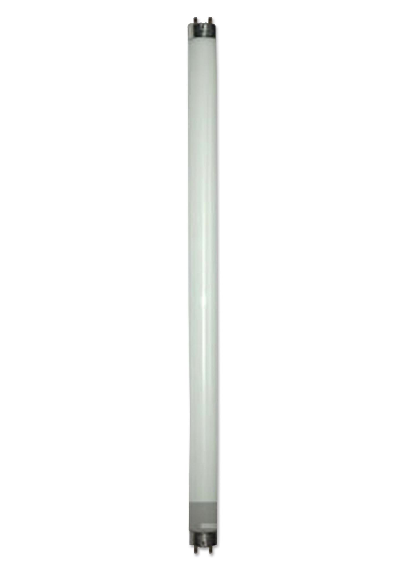 Eiko Series T8 Fluorescent Lamp: F15T8CW