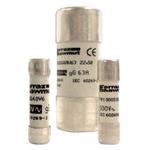 FERRAZ SHAWMUT FR22GG69V40 image