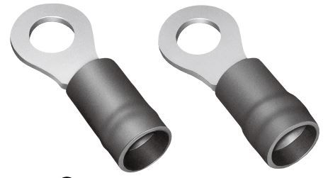 Brand Series Ring Terminal: FVD1255TORLFK