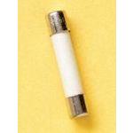 GAB6 FERRAZ SHAWMUT Glass Body Axial Fuse | myMectronic