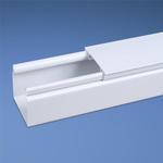 HS2X2WH6NM Panduit Hinged Wiring Duct | myMectronic