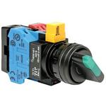 IDEC Corporation HW1F33F22QDS24V image