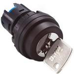 HW1K-2B IDEC 22mm Global Pushbutton | myMectronic