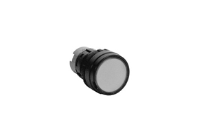 IDEC Corporation LW1P10MGD image