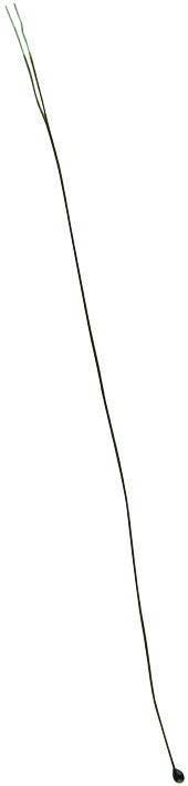 Thermometrics Series NTC Thermistor: MC65F103A