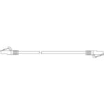 MP-64RJ45UNNE-050 AMPHENOL CABLES ON DEMAND RJ45 Unshielded Connector Cable | myMectronic