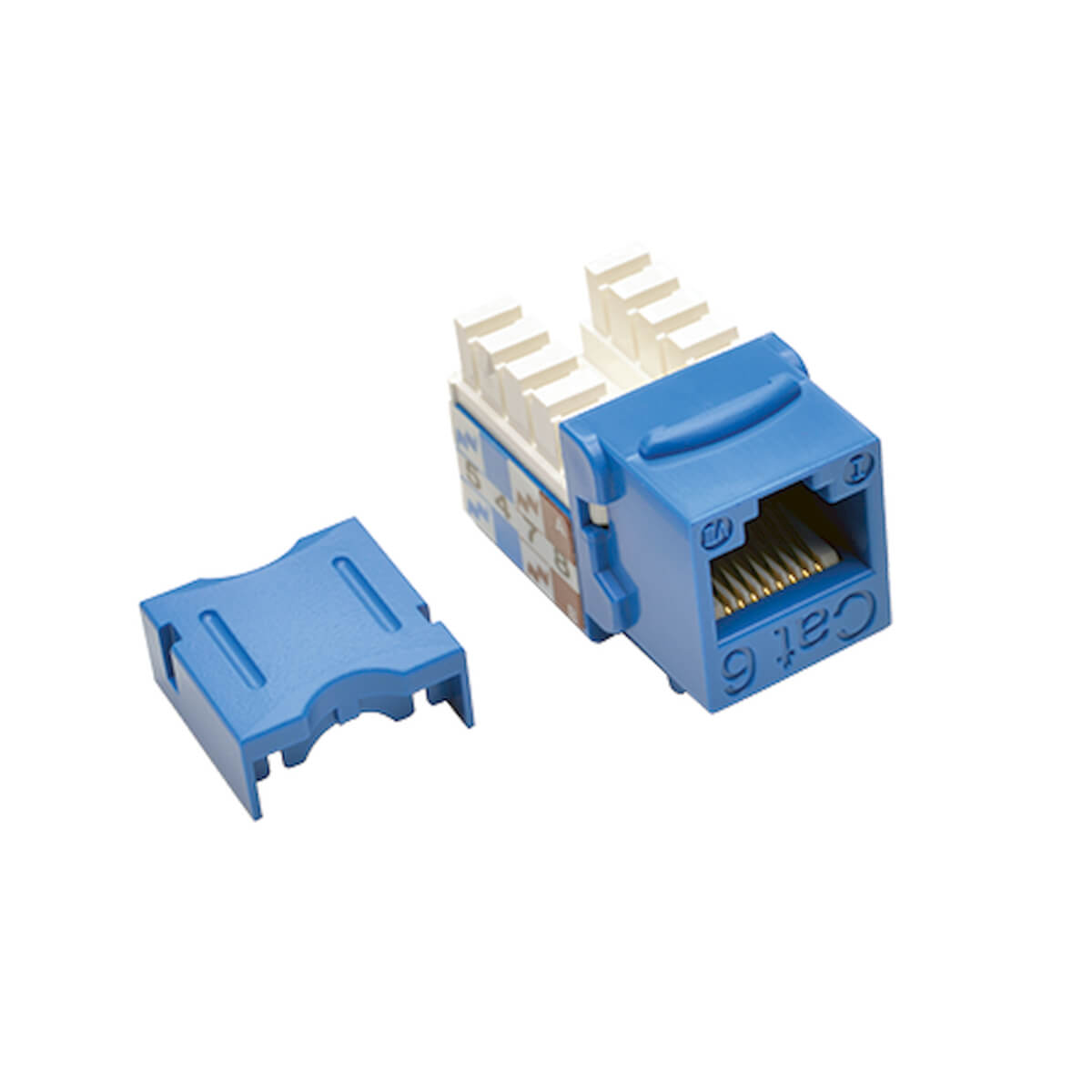 Tripp-Lite Series N238001BL Network Cable: N238001BL