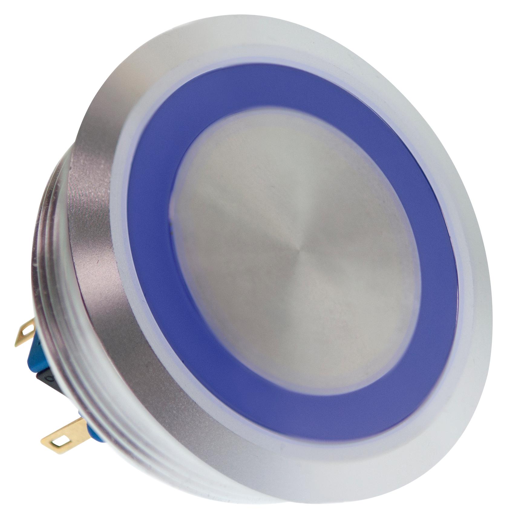 Industrial Switches PV10F2U0SS341 – Reliable Vandal Switches for Industrial Applications