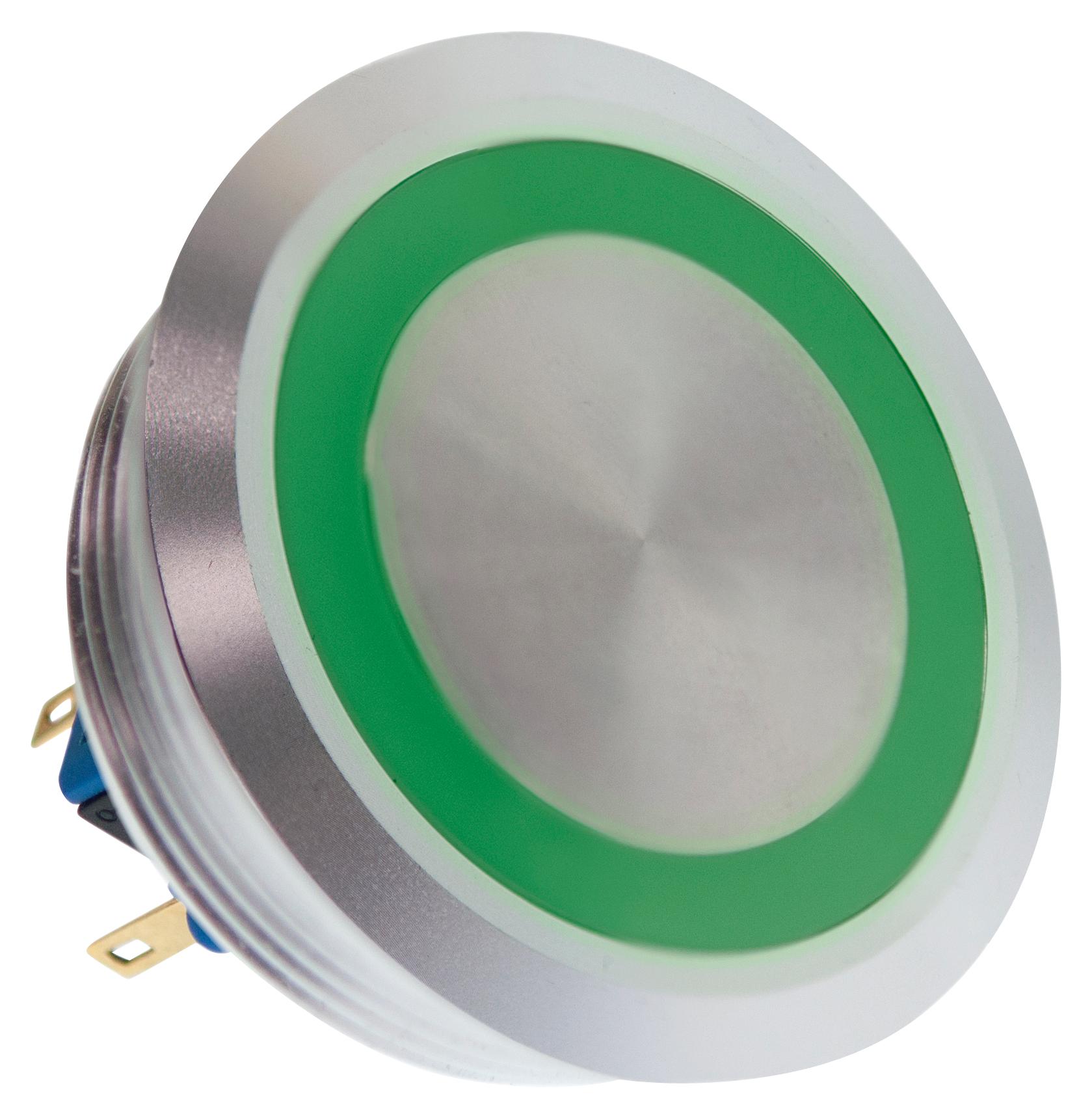 Vandal Switch Series PV10F2V0SS: PV10F2V0SS331