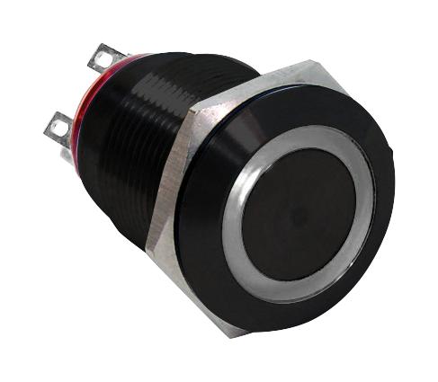Industrial Switch Co PV4 – Reliable Anti-Vandal Switch for Industrial Applications