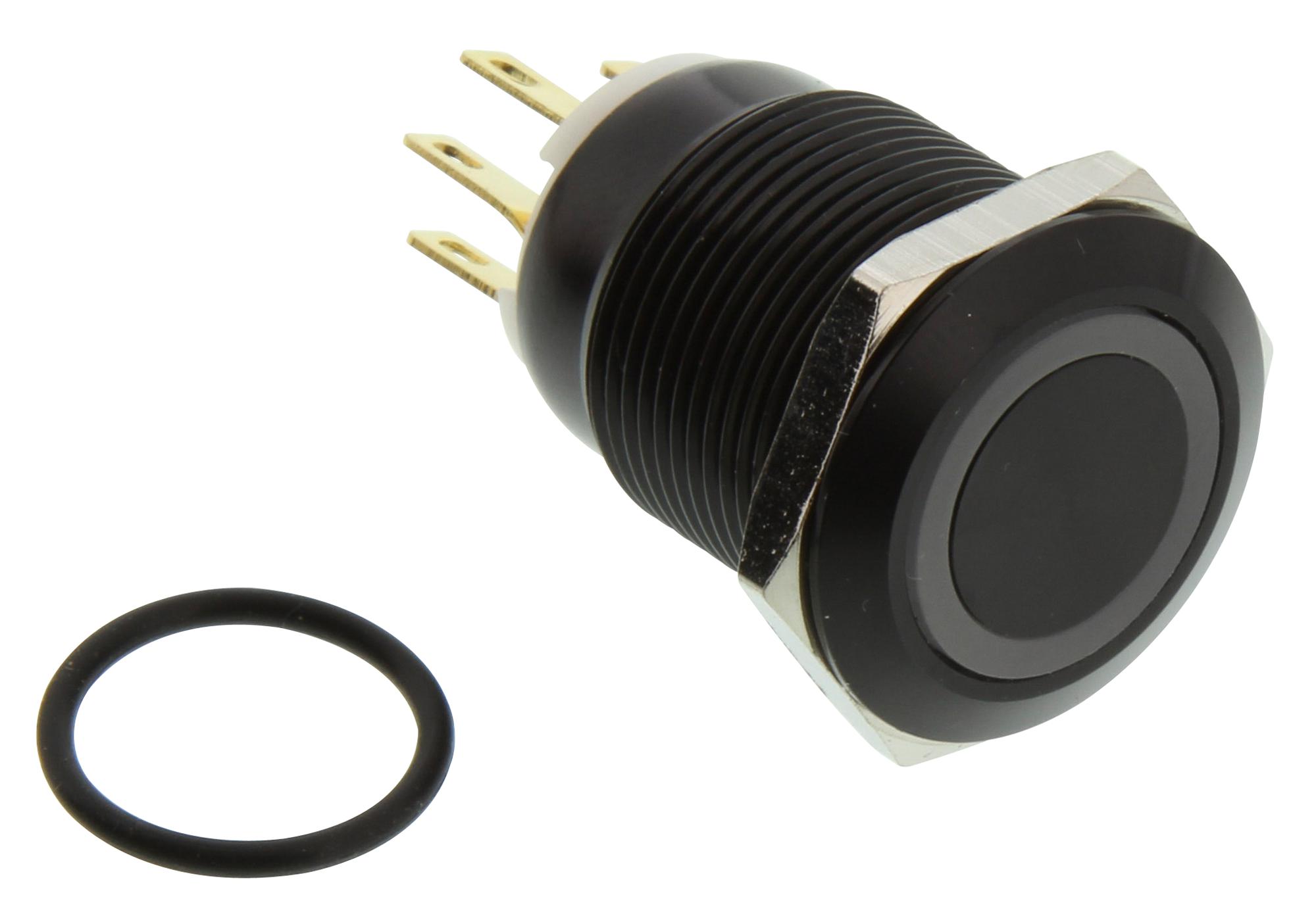 Vistion PV4 – Reliable Anti-Vandal Switch for Industrial Applications