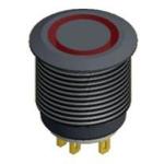 E-SWITCH PV6F240113R1 image
